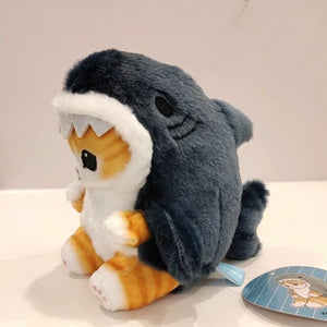 Cute Shark Cat